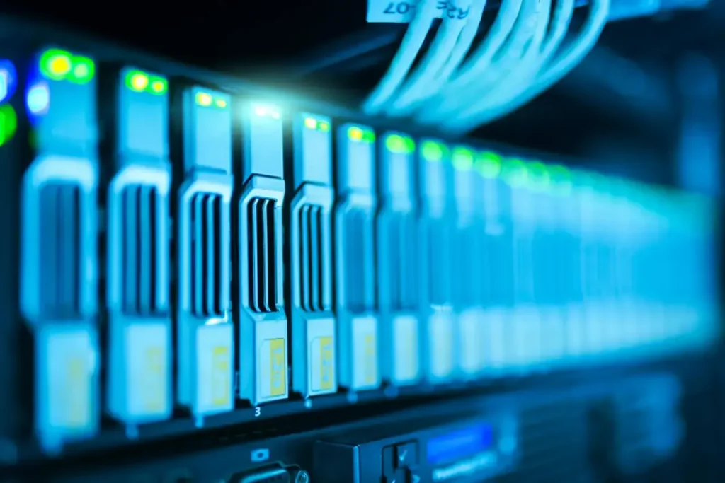 IT Project Services