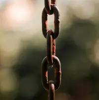 Link Building Link Building
